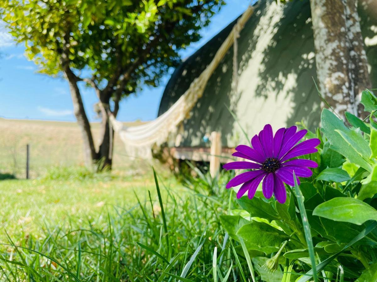Glamping Turquesa Pensionat Corredoura Eksteriør billede